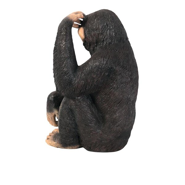 Design Toscano Chauncey the Confused Chimp Garden Monkey Statue - NE110026