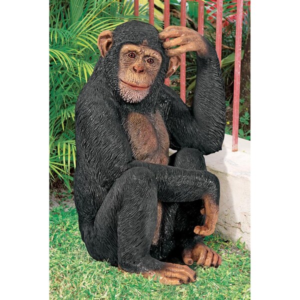 Design Toscano Chauncey the Confused Chimp Garden Monkey Statue - NE110026