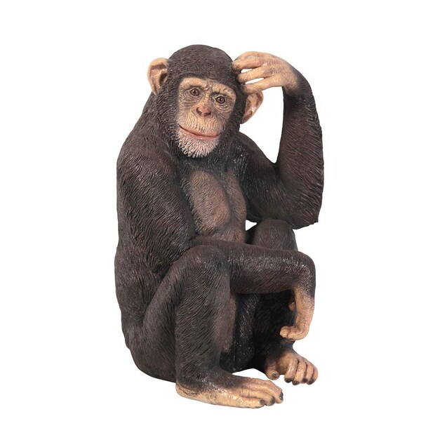 Design Toscano Chauncey the Confused Chimp Garden Monkey Statue - NE110026