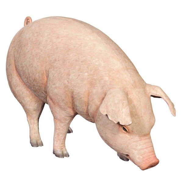 Design Toscano Divine Swine Life-Size Farm Pig Statue - NE120073