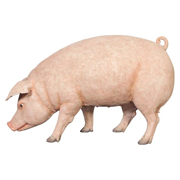 Design Toscano Divine Swine Life-Size Farm Pig Statue - NE120073