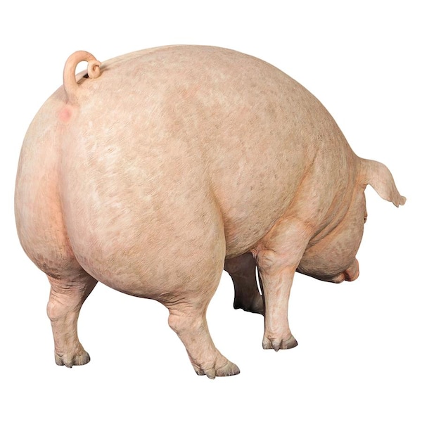 Design Toscano Divine Swine Life-Size Farm Pig Statue - NE120073