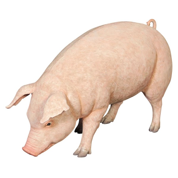 Design Toscano Divine Swine Life-Size Farm Pig Statue - NE120073