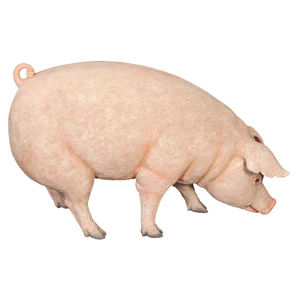 Design Toscano Divine Swine Life-Size Farm Pig Statue - NE120073