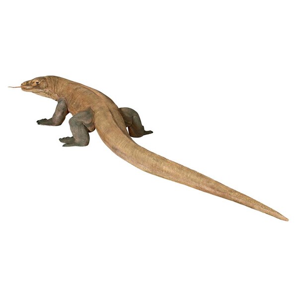 Design Toscano Grande-Scale Komodo Dragon Statue: Grande - NE80121