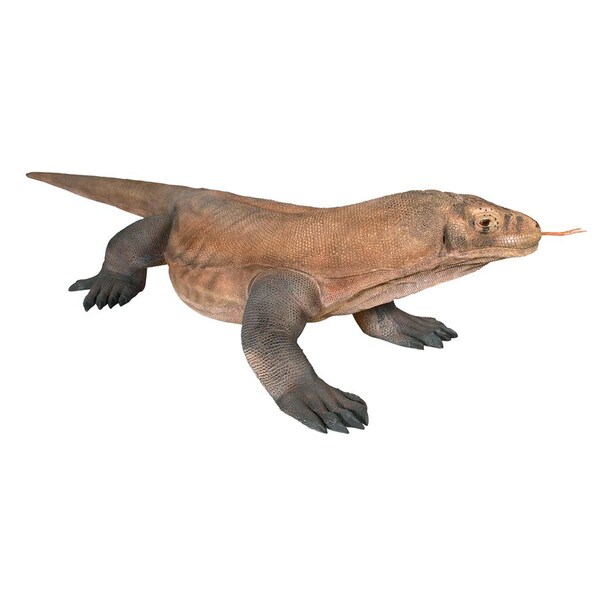 Design Toscano Grande-Scale Komodo Dragon Statue: Grande - NE80121