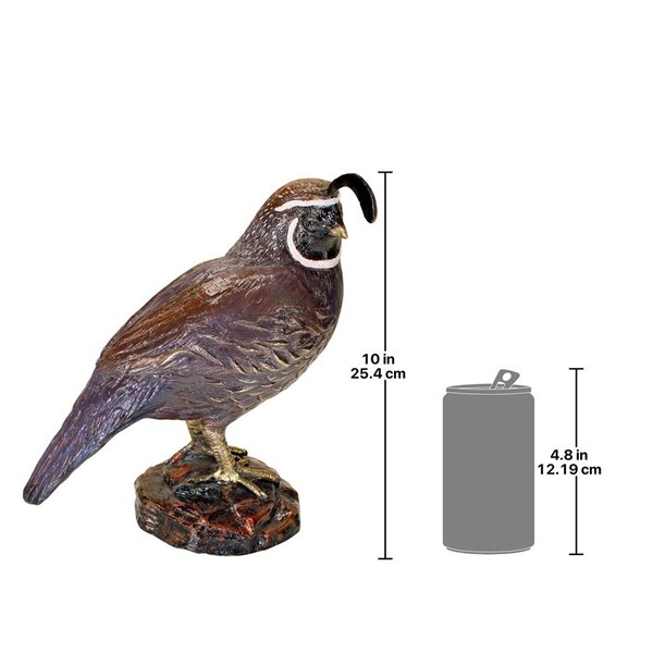 Design Toscano Color-Washed Male California Quail Cast Bronze Garden Statue - KW579005