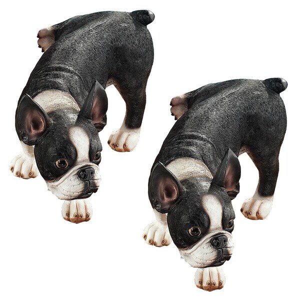 Design Toscano Lifting a Leg Naughty Boston Terrier Dog Statue: Set of Two - QL96280