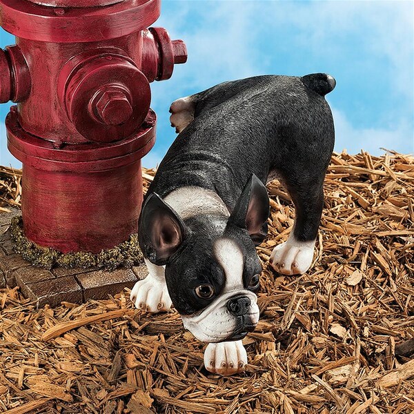 Design Toscano Lifting a Leg Naughty Boston Terrier Dog Statue: Set of Two - QL96280