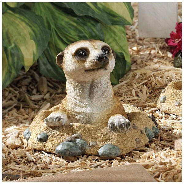 Design Toscano Kalahari Meerkat Statue: Out of Hole - QL57081