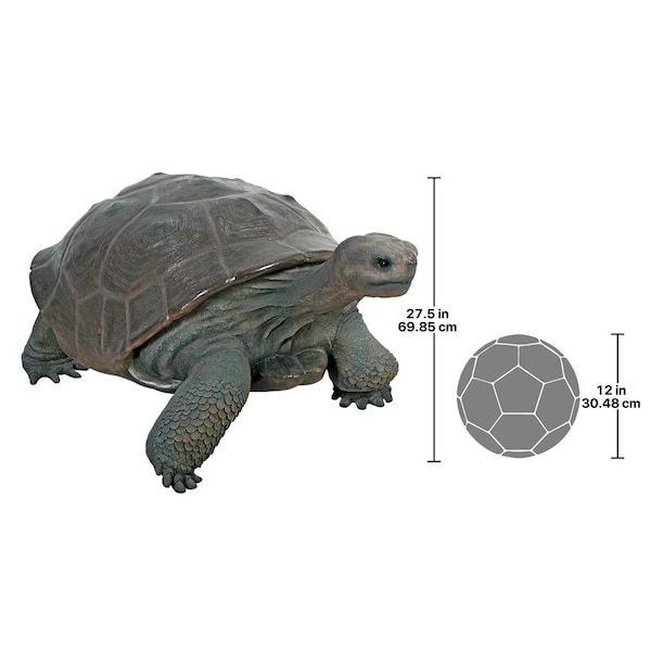 Design Toscano The Grand-Scale Wildlife Animal Collection: The Galapagos Tortoise Statue - NE80124