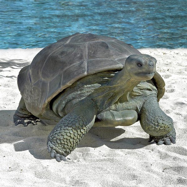 Design Toscano The Grand-Scale Wildlife Animal Collection: The Galapagos Tortoise Statue - NE80124