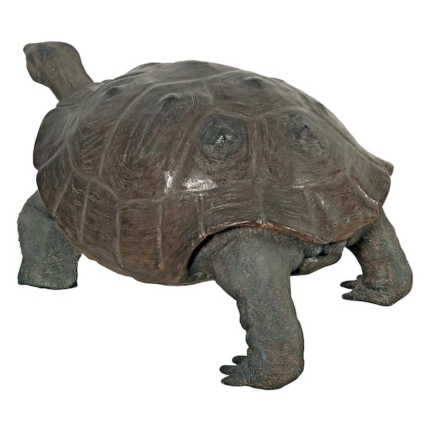 Design Toscano The Grand-Scale Wildlife Animal Collection: The Galapagos Tortoise Statue - NE80124