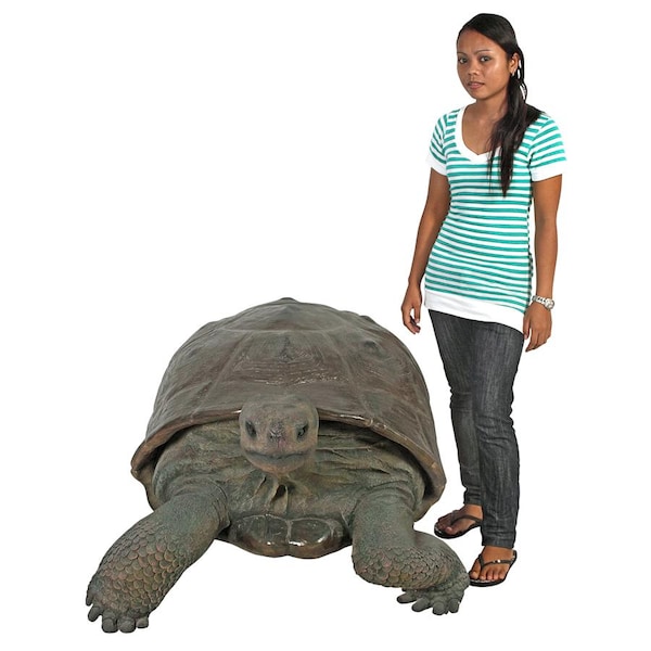 Design Toscano The Grand-Scale Wildlife Animal Collection: The Galapagos Tortoise Statue - NE80124