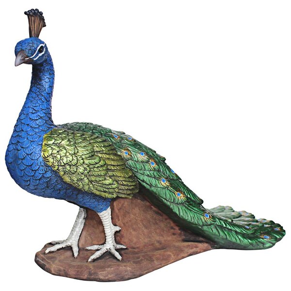 Design Toscano The Regal Peacock Garden Statue: Medium - DB383117