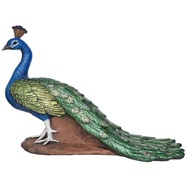 Design Toscano The Regal Peacock Garden Statue: Medium - DB383117