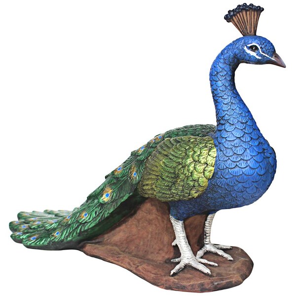 Design Toscano The Regal Peacock Garden Statue: Medium - DB383117