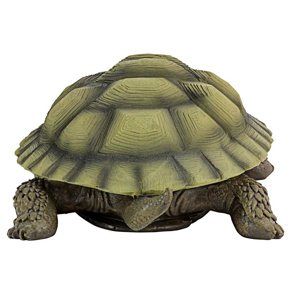 Design Toscano Gilbert, the Box Turtle Statues: Set of Two - QM91887611