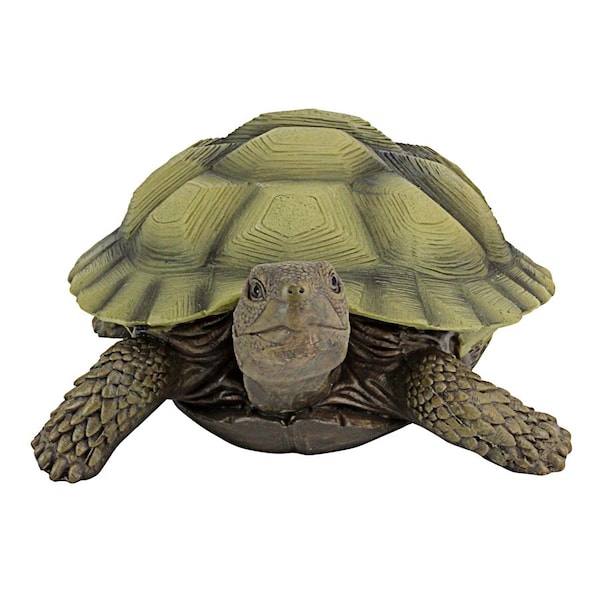 Design Toscano Gilbert, the Box Turtle Statues: Set of Two - QM91887611