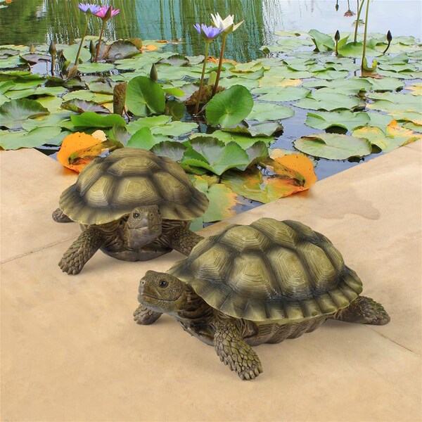 Design Toscano Gilbert, the Box Turtle Statues: Set of Two - QM91887611