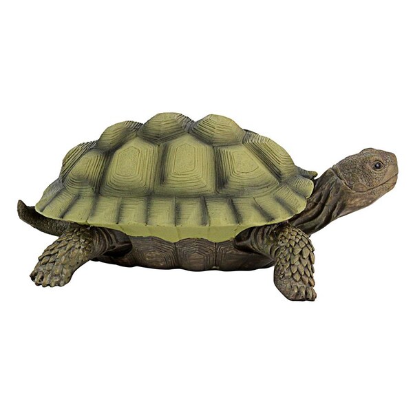 Design Toscano Gilbert, the Box Turtle Statues: Set of Two - QM91887611