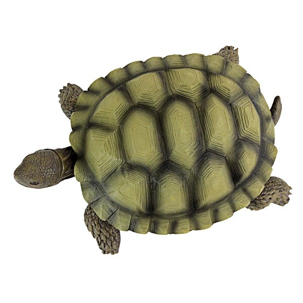 Design Toscano Gilbert, the Box Turtle Statues: Set of Two - QM91887611