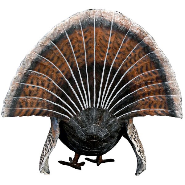 Design Toscano Wild Tom Turkey Grand Scale Animal Statue - NE100126