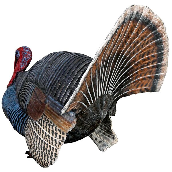 Design Toscano Wild Tom Turkey Grand Scale Animal Statue - NE100126