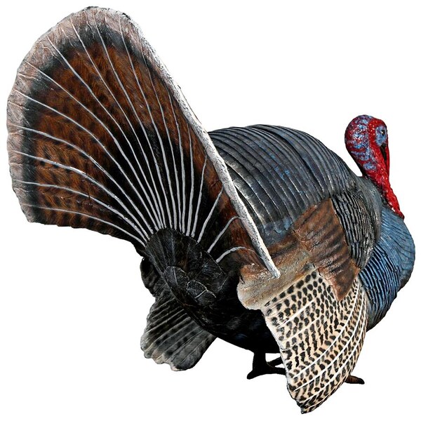 Design Toscano Wild Tom Turkey Grand Scale Animal Statue - NE100126
