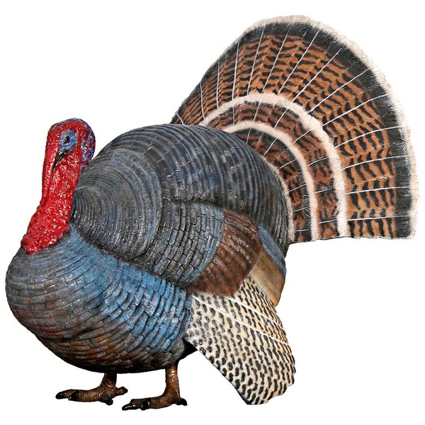 Design Toscano Wild Tom Turkey Grand Scale Animal Statue - NE100126