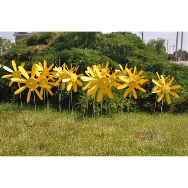 Recinto Early Blooming Spining Daisy Yellow 12PK - RE1692807