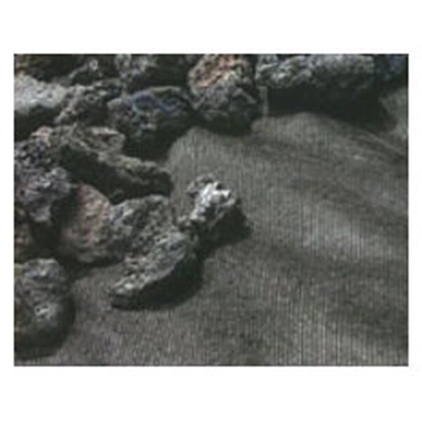 Patioplus 12 ft. x 300 ft. Bulk - Black - PA2953024