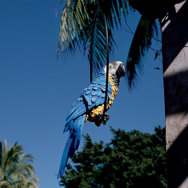 Design Toscano Polly in Paradise Parrot on Ring Perch: Large - NG32112