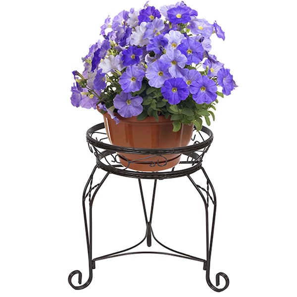 Cobraco Scroll Braided Stand, Bronze Finish, 15" - CI1115B-BZ