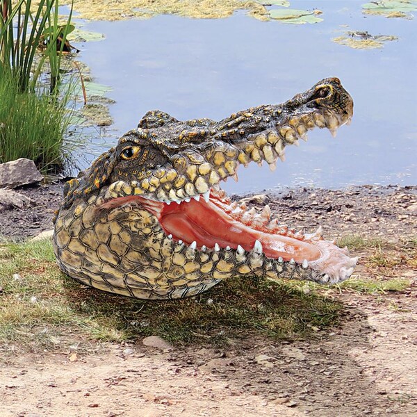 Design Toscano Chomper's Gonna Get You Crocodile Statue: Set of Two - JQ95314