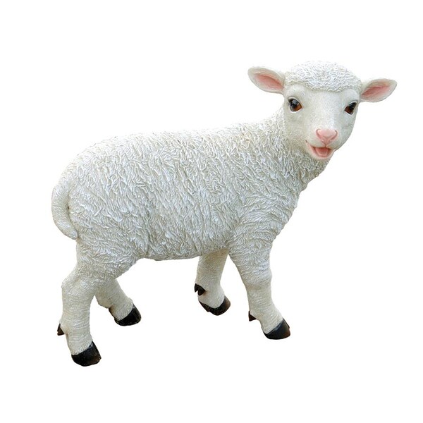 Design Toscano Yorkshire Lamb Garden Statue: Standing Lamb - QL57573
