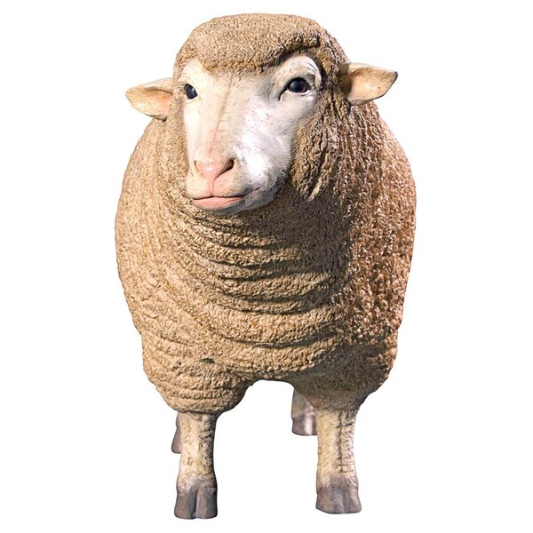 Design Toscano Merino Ewe Life-Size Sheep Statue: Head Up - NE867047
