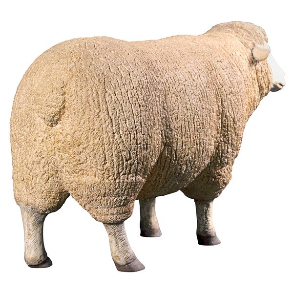 Design Toscano Merino Ewe Life-Size Sheep Statue: Head Up - NE867047