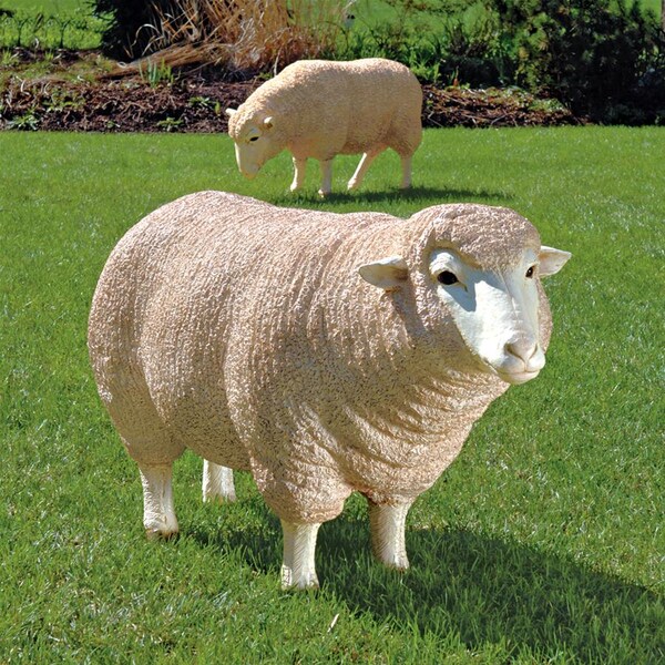 Design Toscano Merino Ewe Life-Size Sheep Statue: Head Up - NE867047