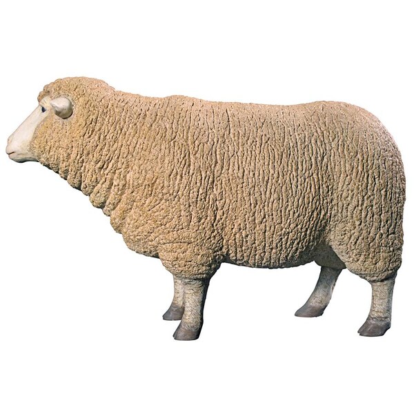 Design Toscano Merino Ewe Life-Size Sheep Statue: Head Up - NE867047