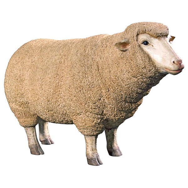 Design Toscano Merino Ewe Life-Size Sheep Statue: Head Up - NE867047