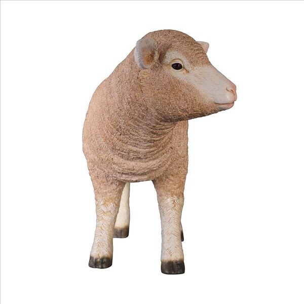 Design Toscano Merino Ewe Life-Size Lamb Statue: Standing - NE100051