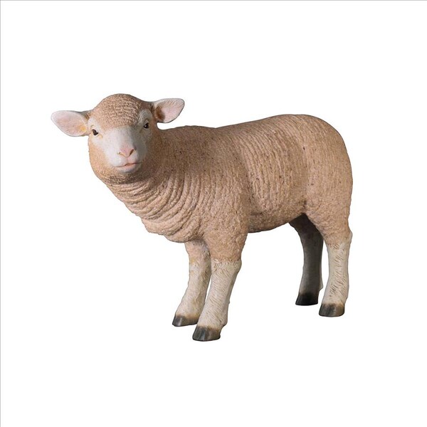 Design Toscano Merino Ewe Life-Size Lamb Statue: Standing - NE100051