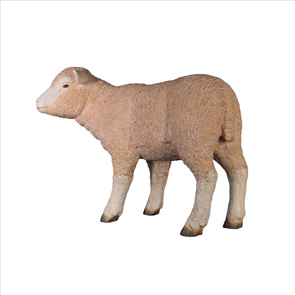 Design Toscano Merino Ewe Life-Size Lamb Statue: Standing - NE100051