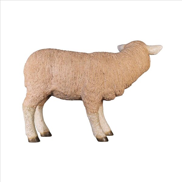Design Toscano Merino Ewe Life-Size Lamb Statue: Standing - NE100051