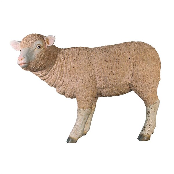 Design Toscano Merino Ewe Life-Size Lamb Statue: Standing - NE100051