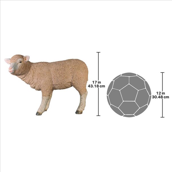 Design Toscano Merino Ewe Life-Size Lamb Statue: Standing - NE100051