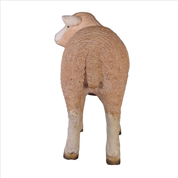 Design Toscano Merino Ewe Life-Size Lamb Statue: Standing - NE100051