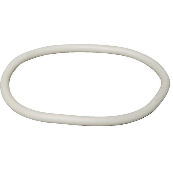 Birchmeier Birchmeier Birchmeier Sprayer Parts - Lid Gasket - 144-129-01
