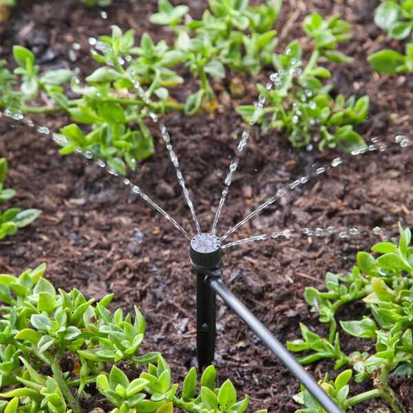 Raindrip Raindrip For 1/4 in. Tubing Drip Irrigation Self-Piercing Clamp 6 in. H 1 pk - A155CPUB